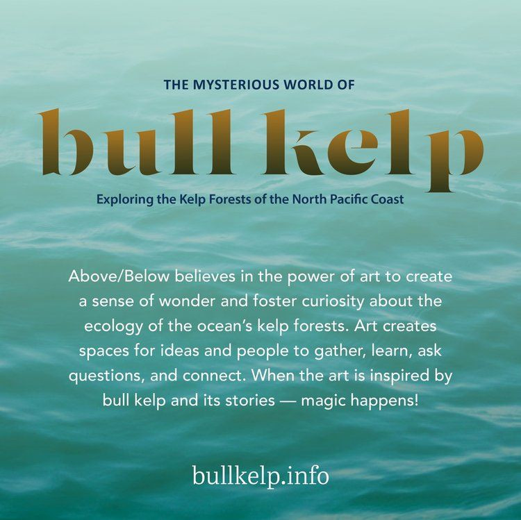 The Mysterious World of Bull Kelp: Explore a New and Stunning Web-Based Story that Celebrates the Kelp Forest of the North Pacific Coast