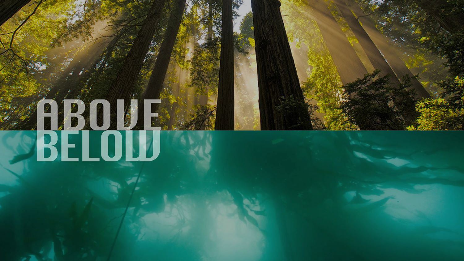 above_below_web-(website).jpg