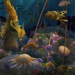 Bottom section of the home page scroll from 'The Mysterious World of Bull Kelp' webstory