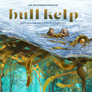 Banner image on the home screen of 'The Mysterious World of Bull Kelp' webstory.