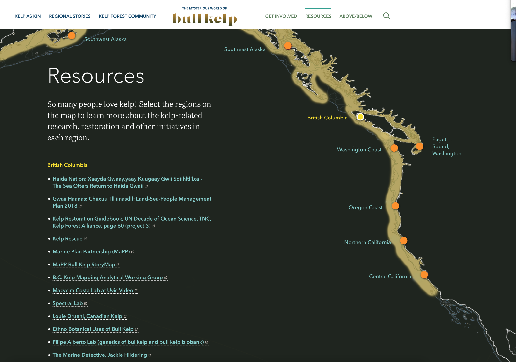 The Mysterious World of Bull Kelp: Explore a New and Stunning Web-Based Story that Celebrates the Kelp Forest of the North Pacific Coast