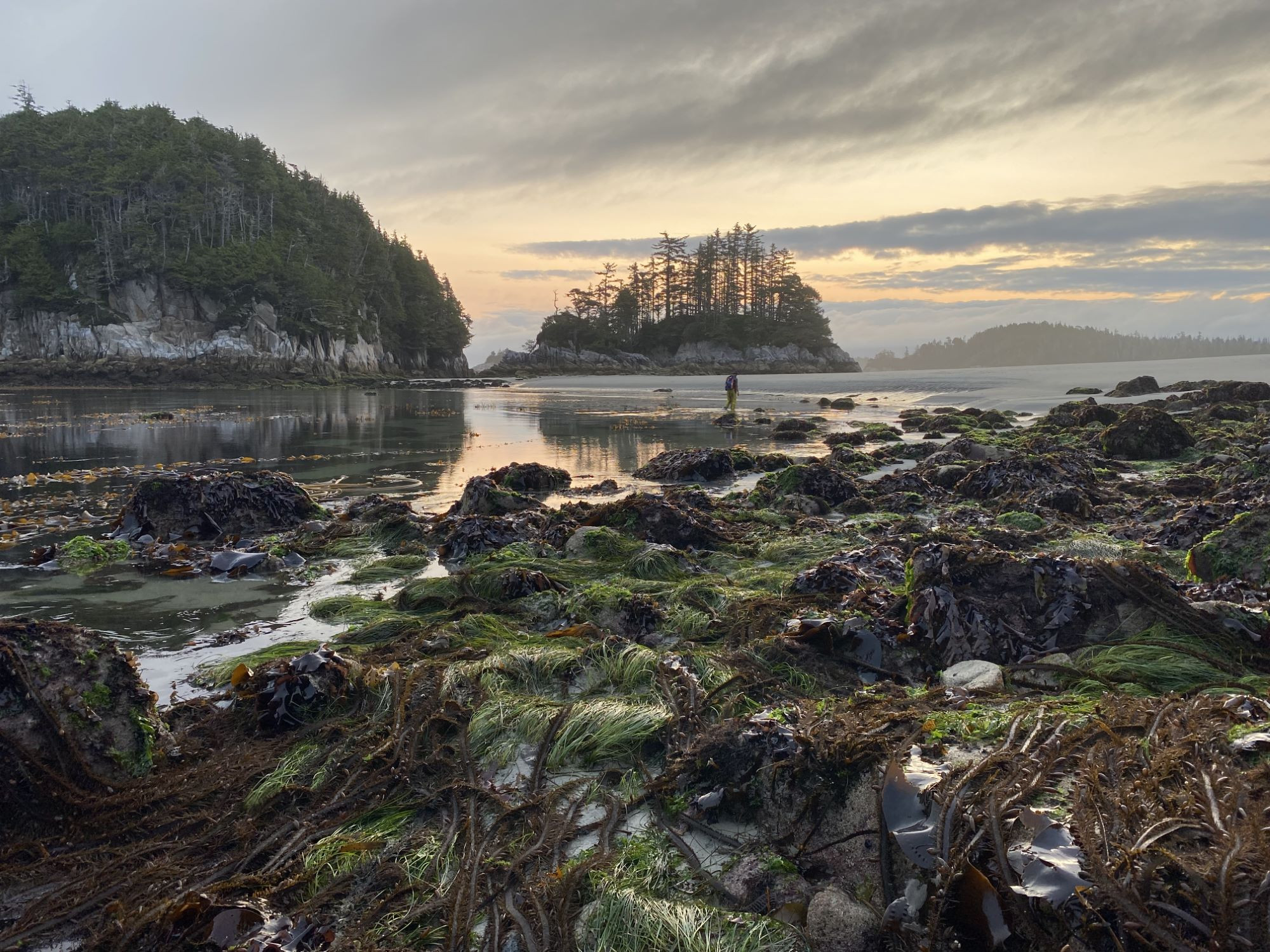 Low tide