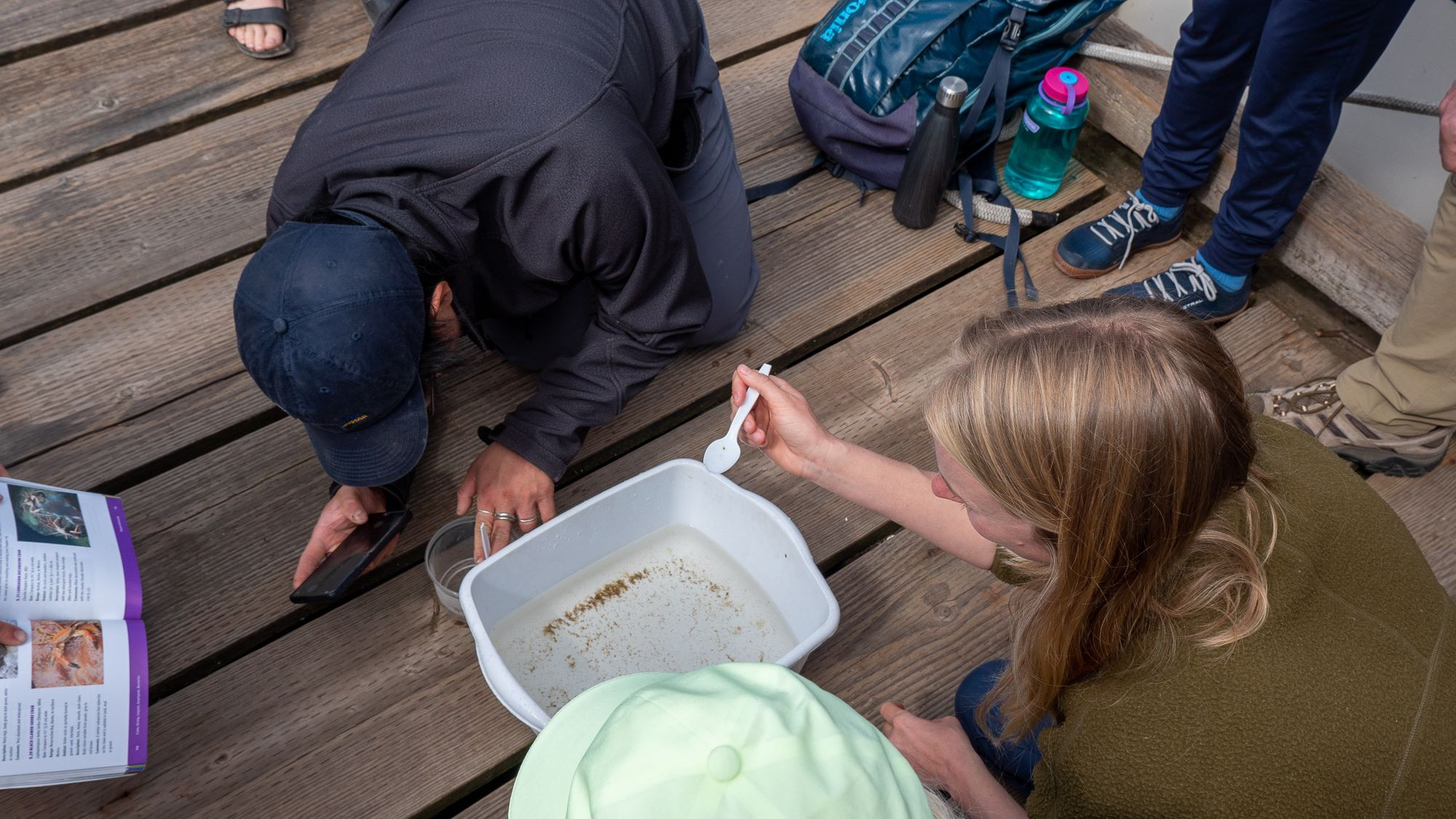 Galiano BioBlitz light trap retrieval