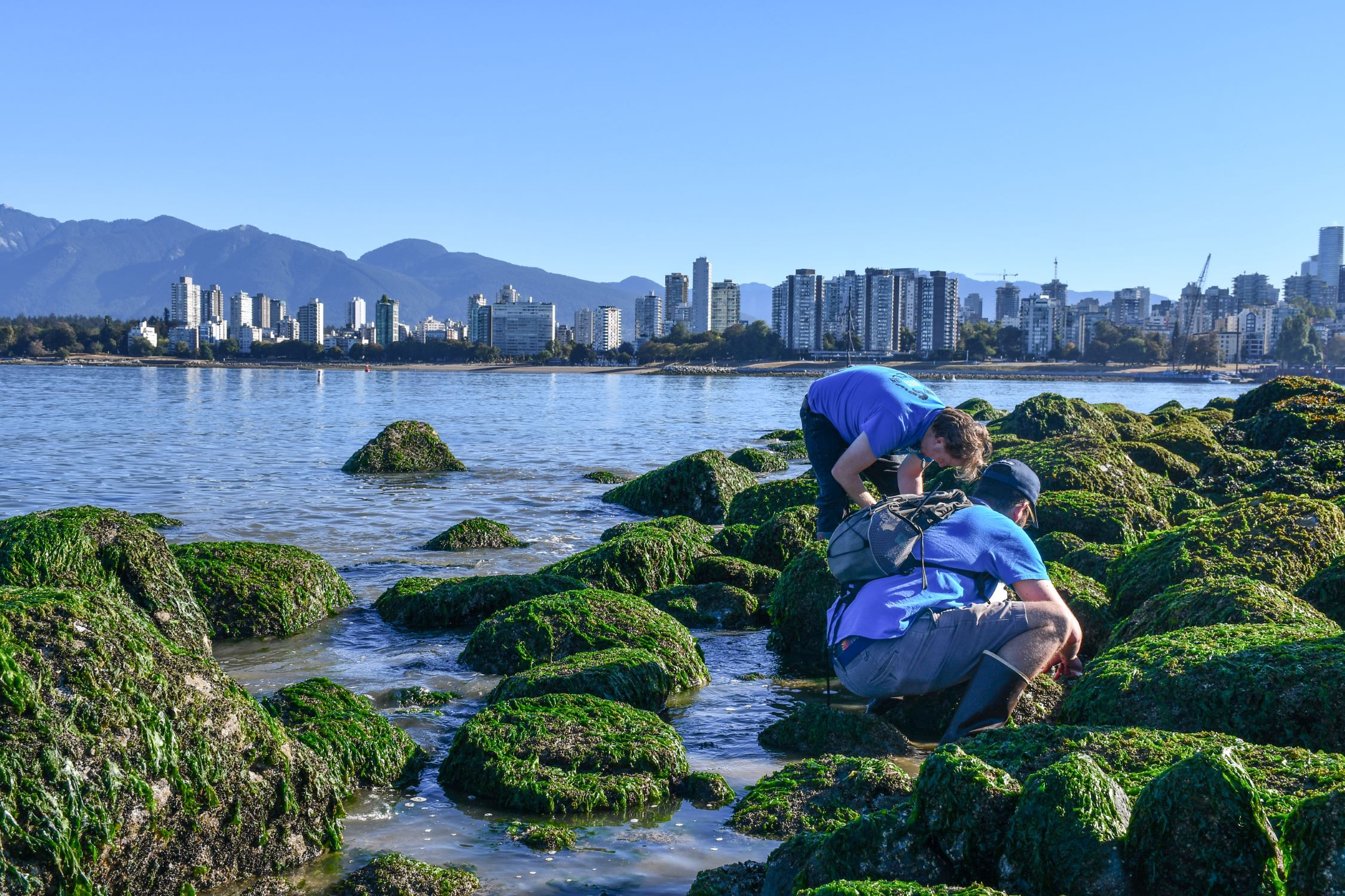 Participants survey the rocky shoreline of False Creek during the False Creek BioBlitz.