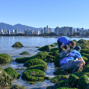 Participants survey the rocky shoreline of False Creek during the False Creek BioBlitz.