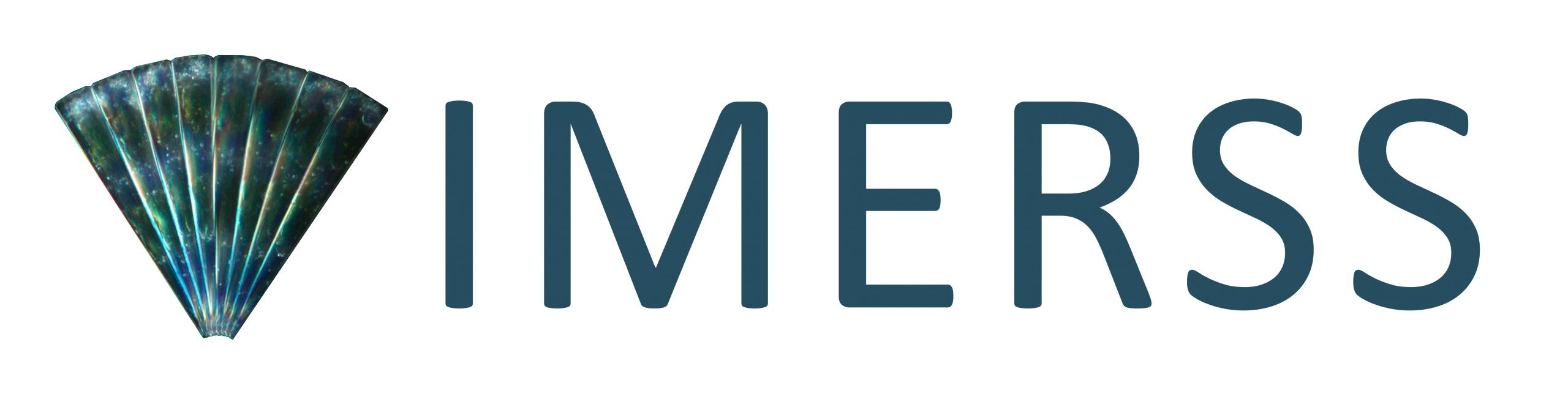 IMERSS Logo