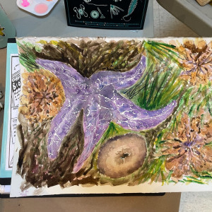 Ocean-inspired art created by Chafekar at the Quadra Island Community Center as part of the Hakai Quadra Island BioBlitz 2024.