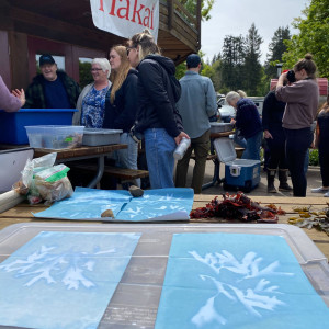 Cyanotype prints dry in the foreground while community members view and learn about subtidal creatures at the Hakai Quadra Island BioBlitz 2024 show-and-tell event at the Heriot Bay Inn.