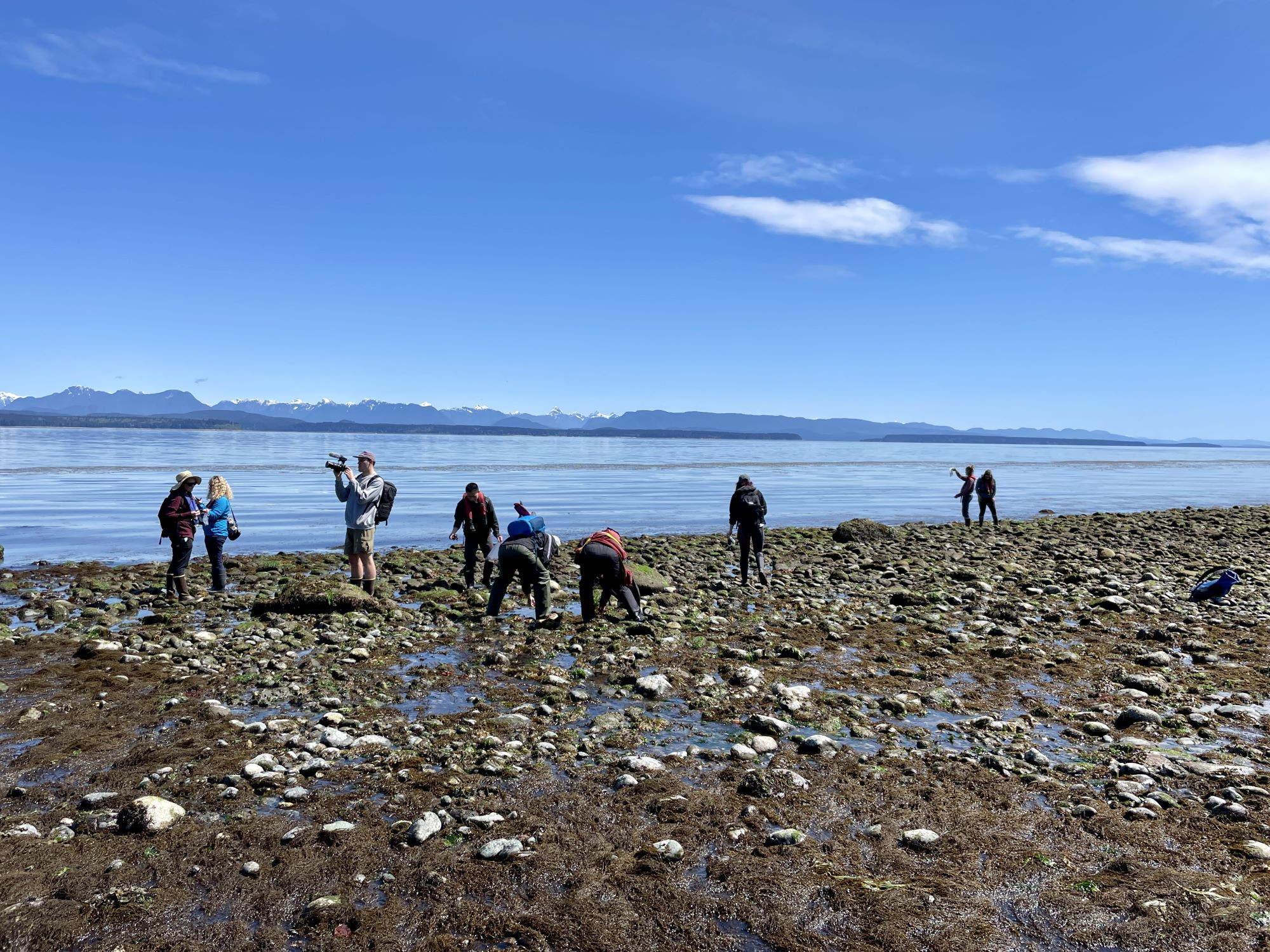 Polychaetes, Polypores, and Pooters: Findings and Fun at the Hakai Quadra Island BioBlitz 2024