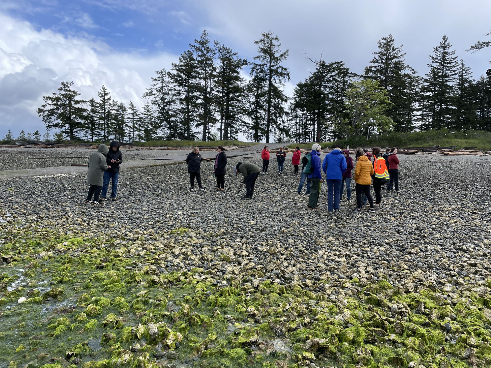 Polychaetes, Polypores, and Pooters: Findings and Fun at the Hakai Quadra Island BioBlitz 2024