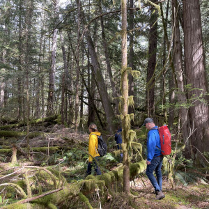 Surveying the terrestrial environment of Quadra Island during week 1 of the Hakai Quadra Island BioBlitz 2024.