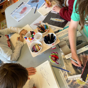 Students at Quadra Island Elementary hard at work drawing creatures inspired by Hakai Institute photos and their imaginations.