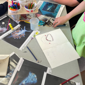 Sharks and plankton! Quadra Island Elementary School students create art inspired by science at the Hakai Quadra Island BioBlitz 2024.