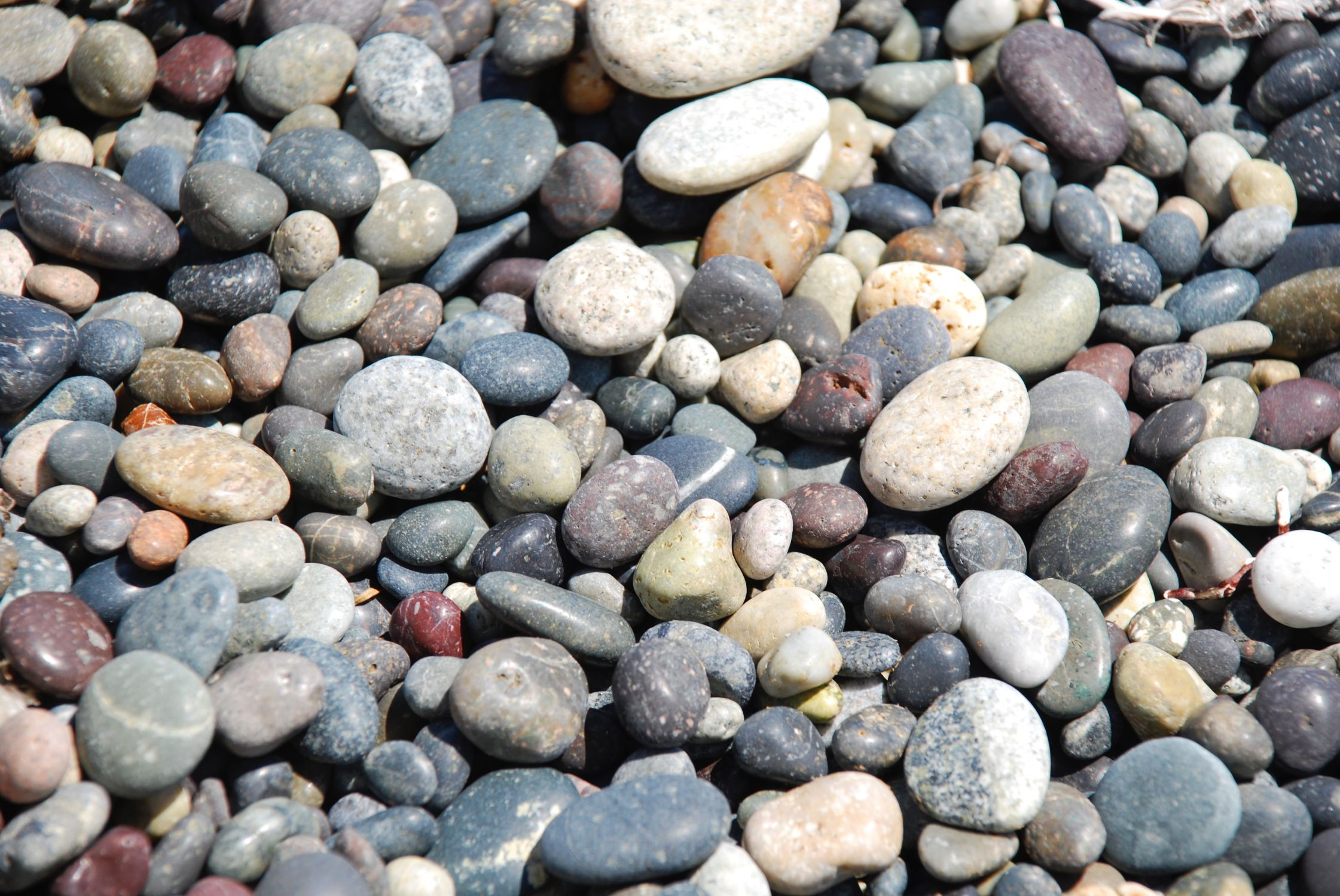 Beach pebbles