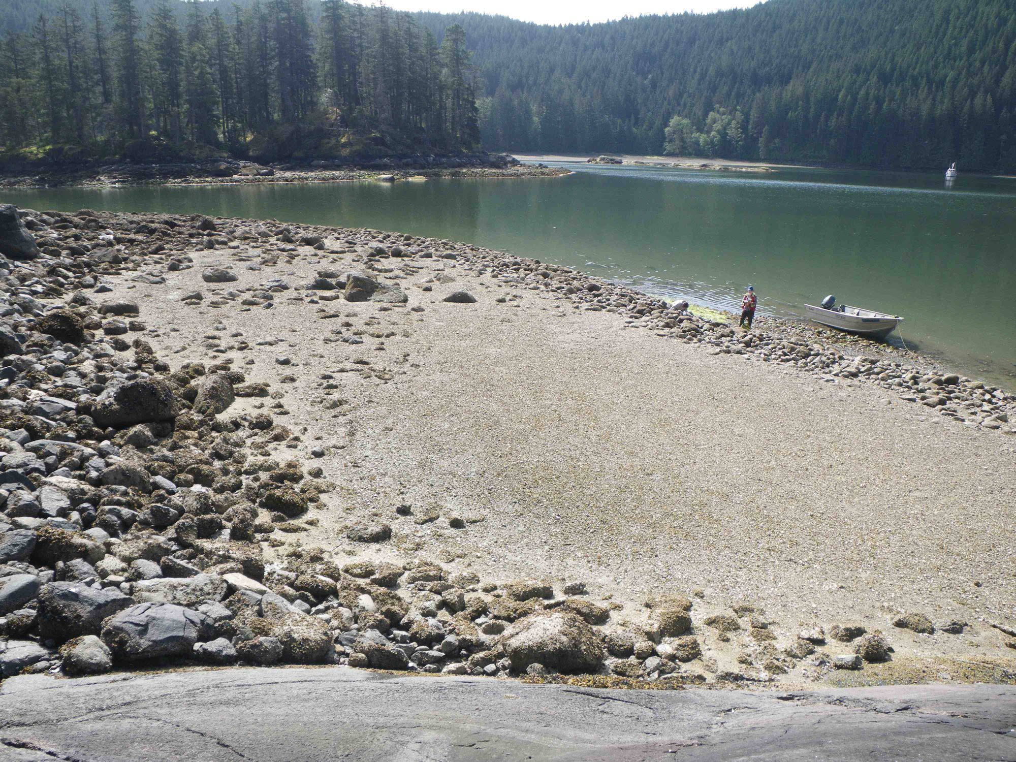 Clam garden