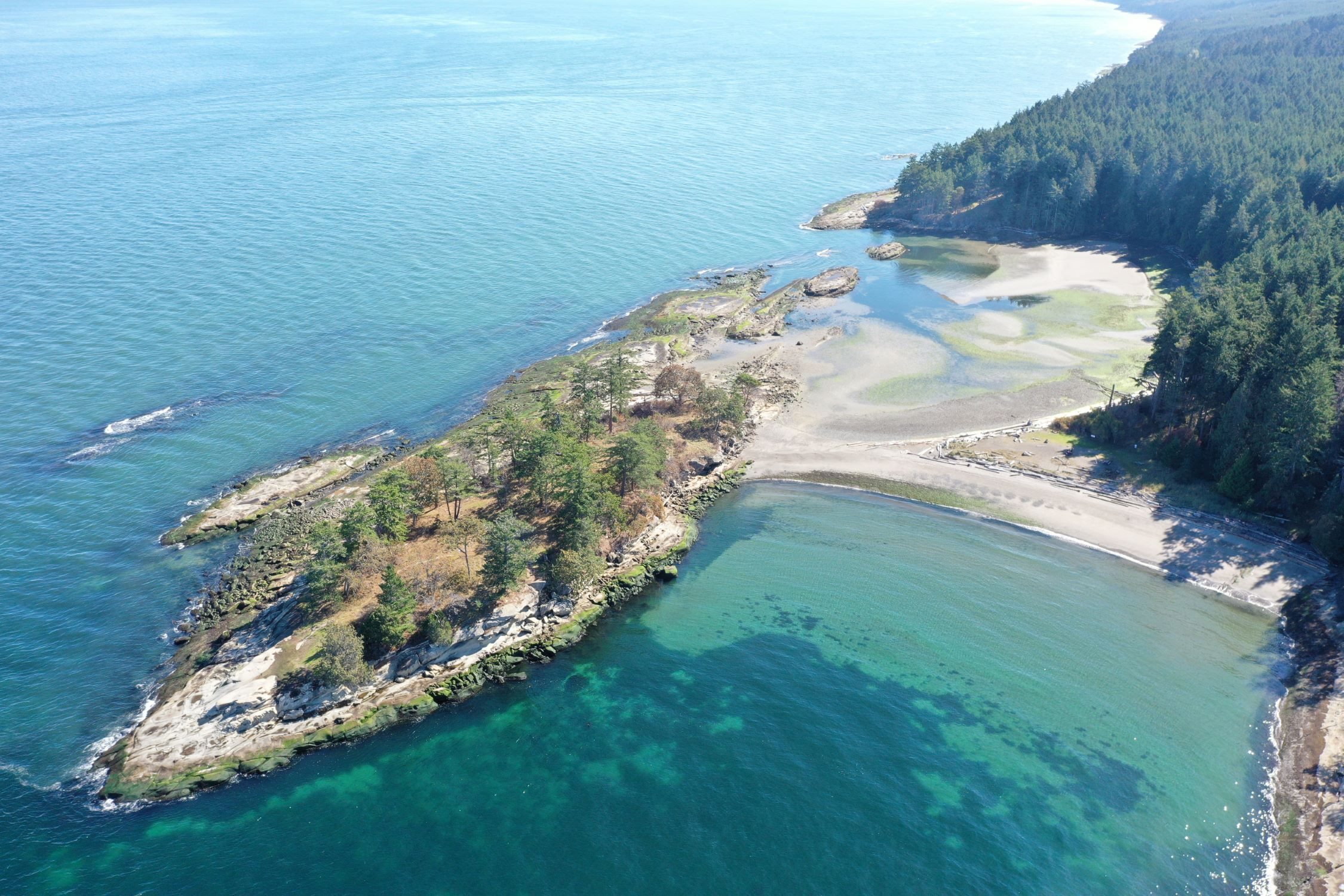 Quelus (Dionisio Point), Galiano Island