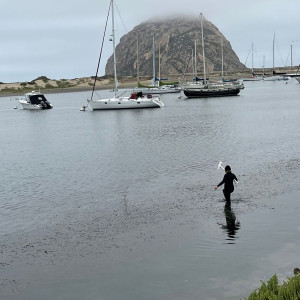 Students of the Center for Coastal Marine Sciences (Cal Poly) sampling water for eDNA in Morro Bay, CA (2021).